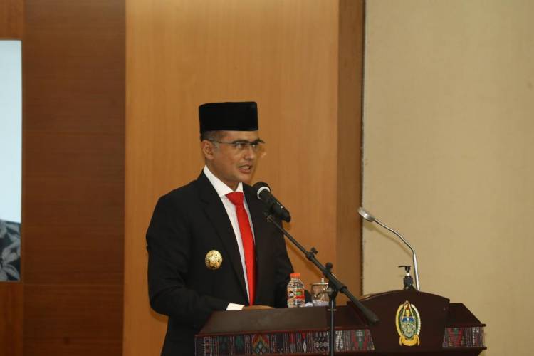 Wagubsu : Perubahan RPJMD Menjawab Permasalahan di Masa Pandemi
