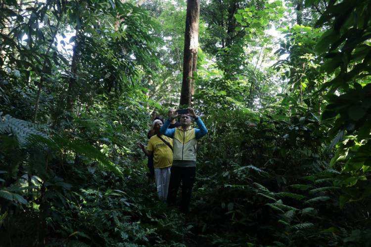 Kelilingi Desa Bukit Lawang dan Desa Timbang Lawan Musa Rajekshah Penataan jadi Fokusnya