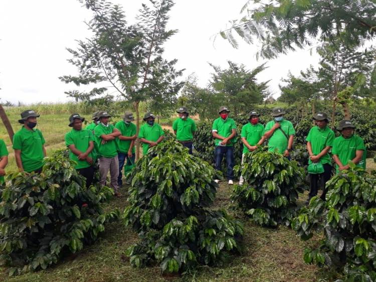 Dukung Petani, PT Toba Pulp Lestari Selenggarakan Sekolah Kopi