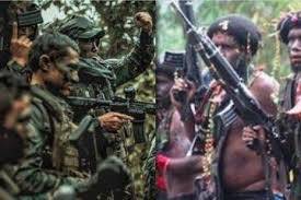 Lagi! Baku Tembak Kembali Terjadi Antara TNI-Polri Dengan KKB