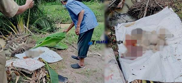 Jasad Bayi Dalam Goni Plastik Hebohkan Warga Desa Sei Silau Barat