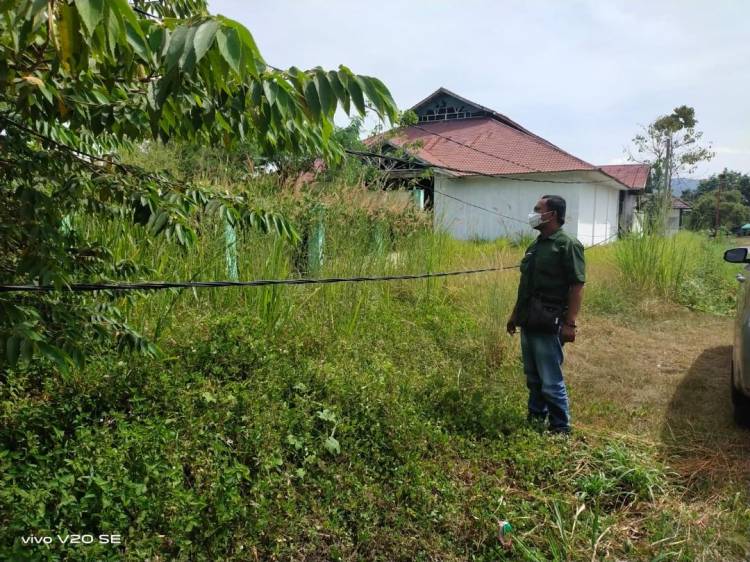 Semoga Bisa Dibenahai Warga Minta Kabel PLN Diperbaiki