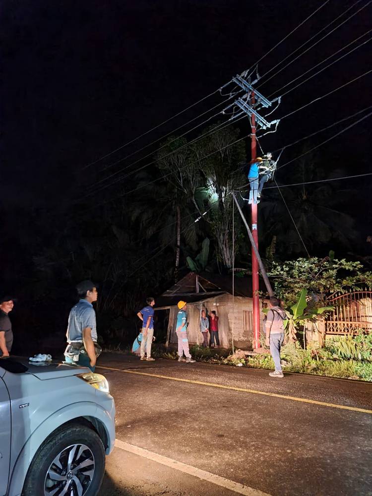 Apabila Melihat Pohon Mendekati Jaringan Listrik Segera Lapor ke PLN