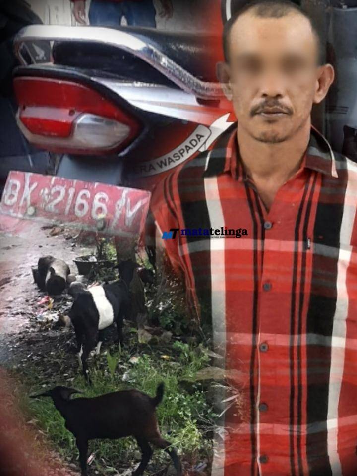 Bermodalkan Goni Karung Plastik, Okmun ASN Nyolong Kambing