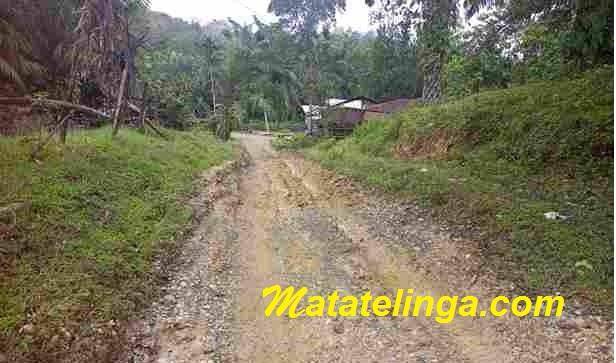 Butuh Perhatian Pemkab Langkat : Kondisi Jalan Desa Halaban Kecamatan Besitang Rusak Parah