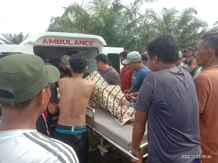 Tabrak Boks Jembatan Sungai, Bambang Tewas Tenggelam