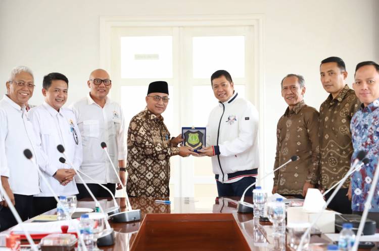 KADIN Sumsel Garap Energi Baru Terbarukan di Muba