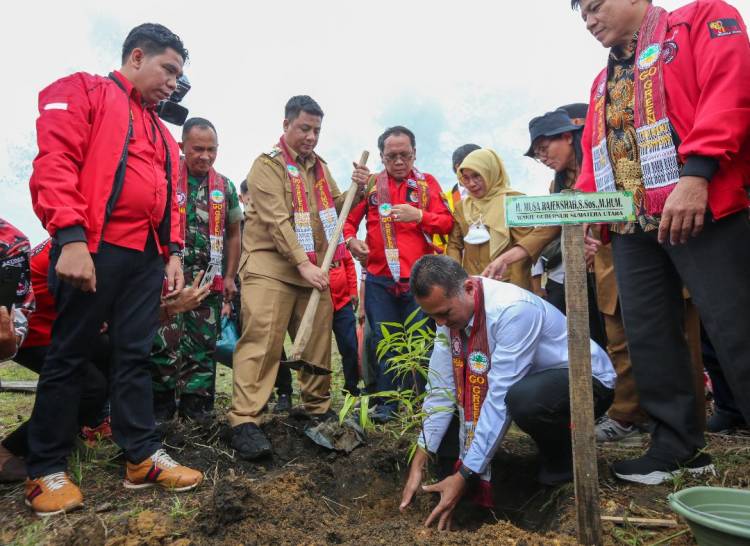 Musa Rajekshah Tanam 10 Ribu Pohon di Togaraja, Samosir Akan Miliki Tempat Wisata Buah