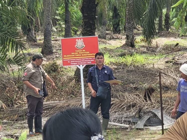 Kejatisu Sita Hutan  Suaka Margasatwa  Disulap Jadi Kebun Sawit