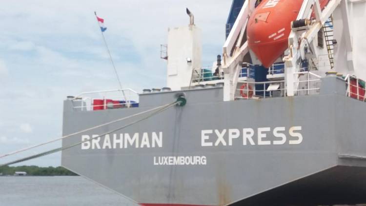 MV.Brahman Epress Bongkar Sapi Import Asal Australia di Belawan