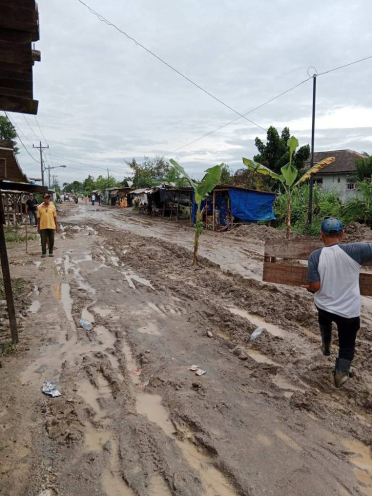 Jalan Rawe Martubung Rusak Parah ,Warga Tanam Pohon Pisang