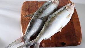 Ingin Tahu Ikan Bandeng Aceh, Selain Gizi Lebih Baik dan Diminati Internasional