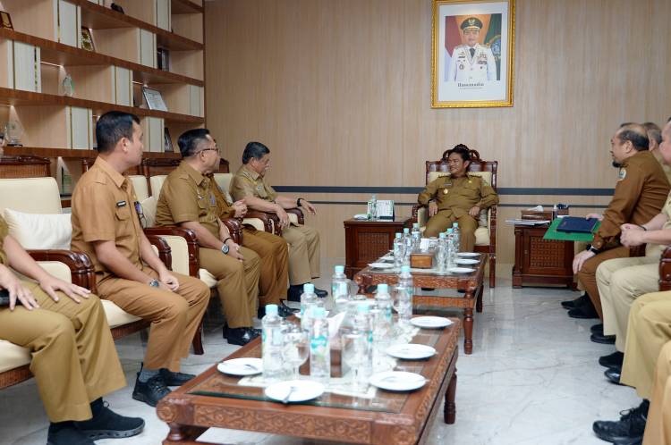 Pj Gubernur Sumut Harapkan Sinergitas Pemkab Deliserdang dengan Pemprov Tetap Terjalin Baik