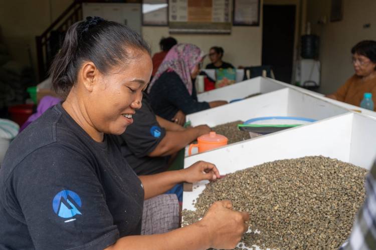Sentra Coffe Mancafe Surganya Bagi Pecinta Kopi