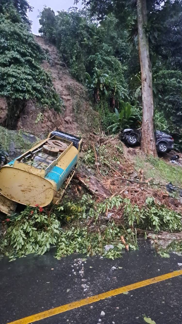 Dewas Andry Mahyar : Longsor di Sibolangit Akibat Perambahan Hutan