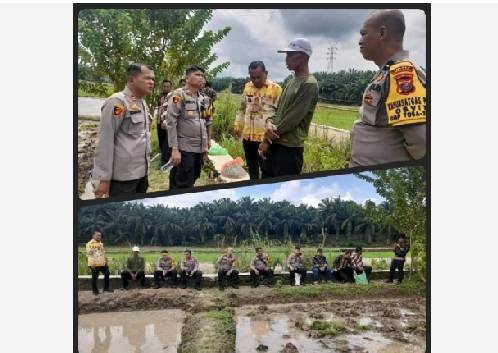 Dukung Program Ketahanan Pangan, Kapolsek Kualuh Hulu Sambangi Kelompok Tani di Gunung Melayu