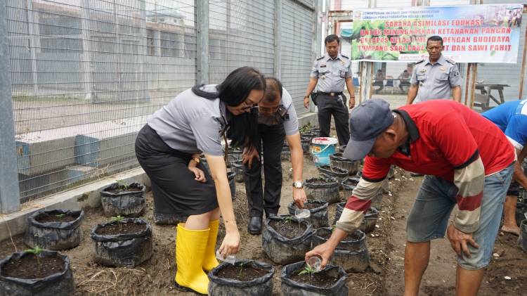 Dukung Program Ketahanan Pangan, Lapas Kelas I Medan Beri Pupuk Cair pada Tanaman Cabai Rawit