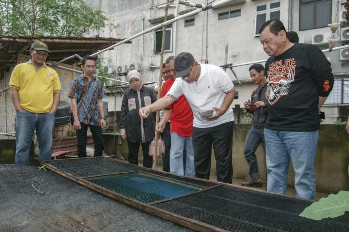 Akhyar Apresiasi Budi Daya Ikan Air Tawar di Pekarangan Rumah