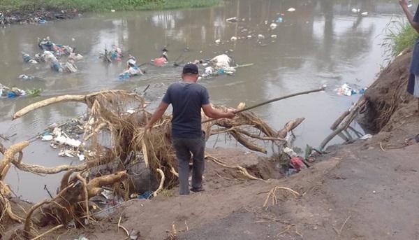 Sudah 27 Ribu Babi Mati di Sumut