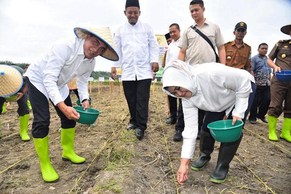 Gubernur Minta Tidak Ada IMB di Lahan Pertanian
