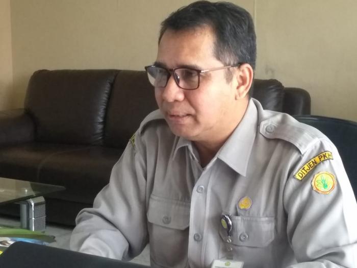 Kematian Babi Terus Bertambah, Lambat Laun Bisa Hilang di 'Peredaran'