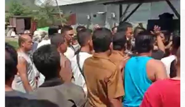 Penertiban Peternakan Babi Ilegal di Hamparan Perak Ricuh, Camat Nyaris Dihajar dan Disekap Pesuruh Peternak