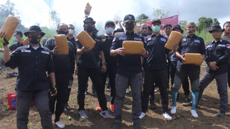 Bareskrim Polri Musnahkan 5 Hektare Ladang Ganja di Madina