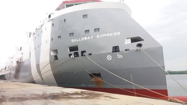 3.900 Ekor Sapi Impor Asal Australia Tiba di Belawan
