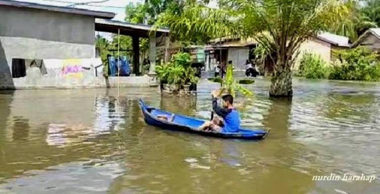 Desa Sei Dua Hulu Kebanjiran Dua Jembatan Kayu Rusak Dan Sekitar 1587 KK Terdampak Banjir