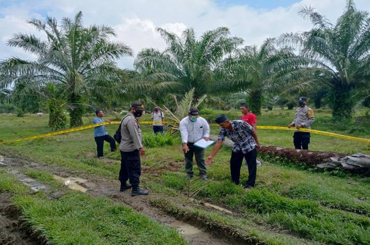 Leher Nyaris Putus Kena Egrek Sendiri Saat Hendak Manen Sawit