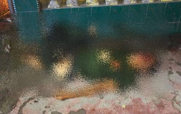 Diduga Dibunuh, Ujang Ditemukan Tewas Depan Ruko Gypsum