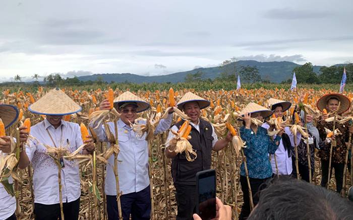 Kajari Dairi Dukung Pencanangan Kawasan Pertanian Terpadu Sorgun dan Jagung