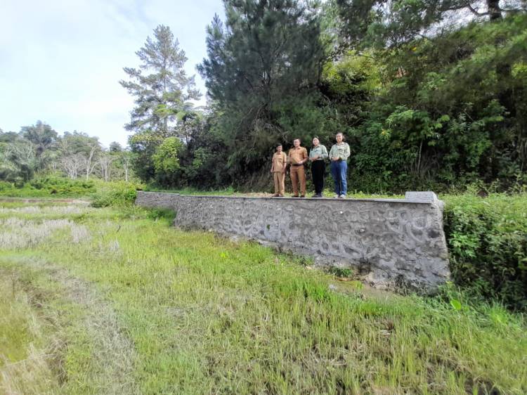 TPL Bangun Tembok Penahan Tanah di Dusun Huta Nagodang