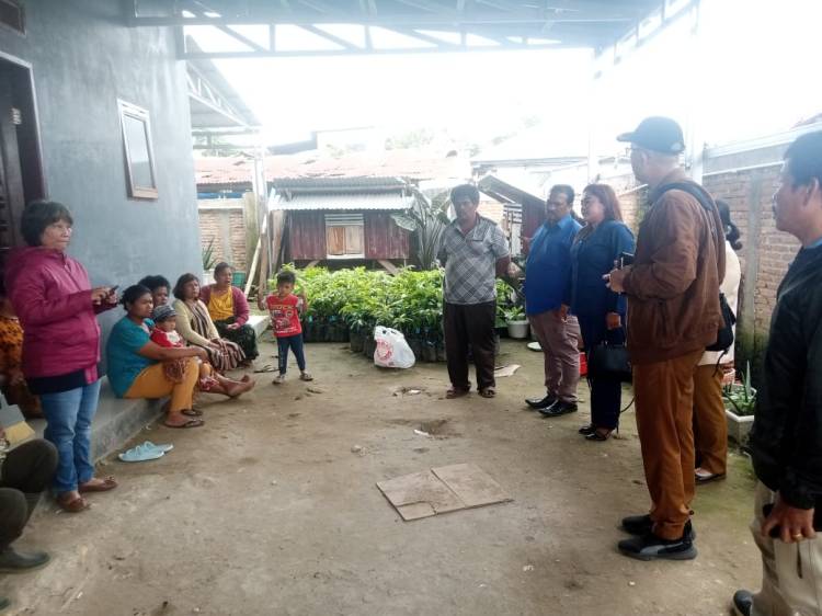 Anggota DPRD Karo Rehulina br Tarigan Salurkan Bibit Alpokat ke Kelompok Tani