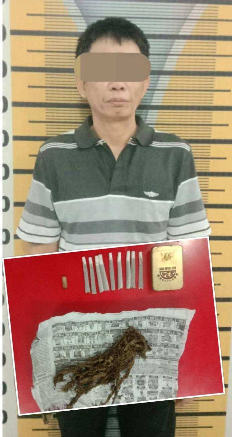 30,18 Gram Ganja Kering, Antarkan Acek Ke Penjara
