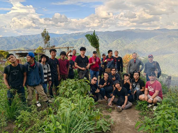 Polres Madina Kembangkan Temuan 11 Ha Ladang Ganja