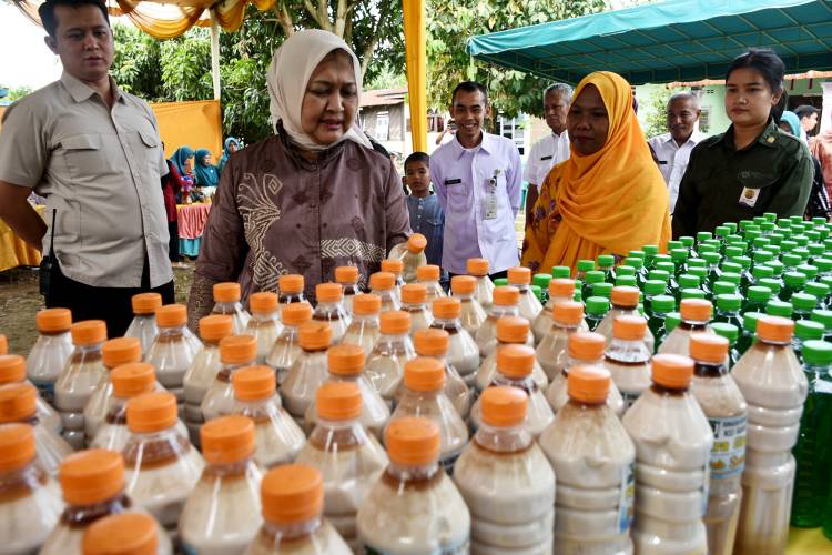 Nawal Lubis Kunjungi Rumah Kreatif Mak Saida