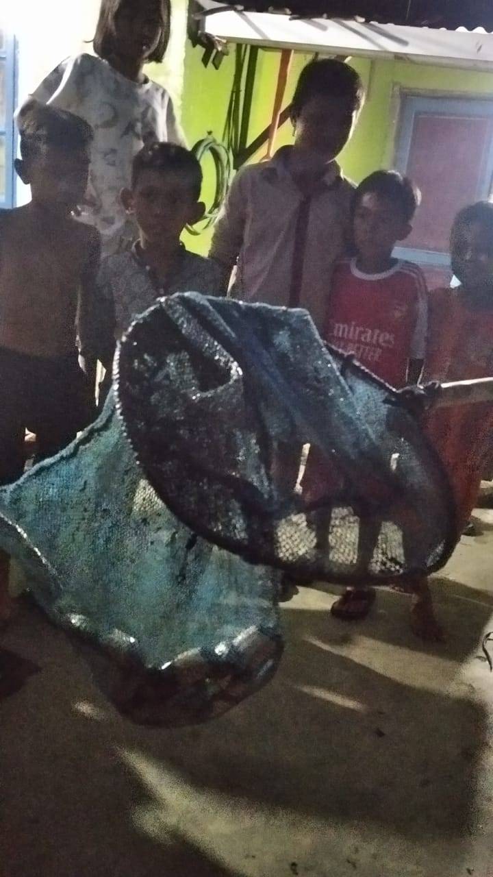 Gawat..!!! Gigitan Ular Berbisa Ancam Ratusan Warga Komplek TKBM Belawan
