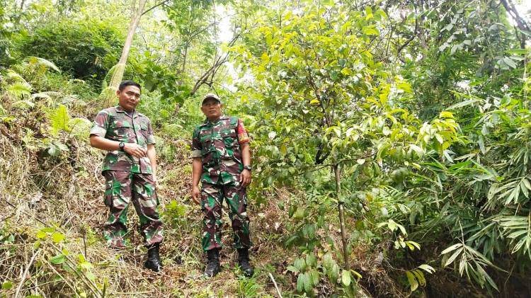 Dandim 0311/Pessel Tinjau Pemberdayaan Prajurit Produktif