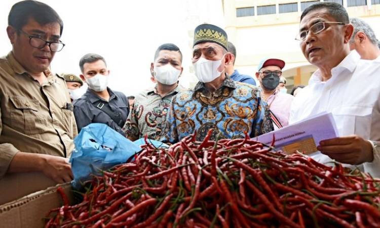 Edy Rahmayadi Diminta Mendagri Jadi Narsum, Rapat Pengendalian Inflasi se-Indonesia
