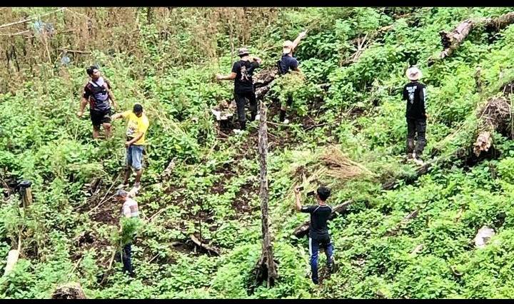 8 Hektare Ladang Ganja Ditemukan di Kabupaten Madina