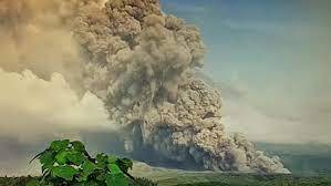 Warga Selamatkan diri, Gunung Semeru Semburkan Awan Panas,