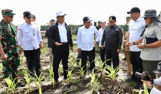 Berkunjung ke Palangka Raya, Wamenhan M. Herindra Tinjau Lokasi Food Estate