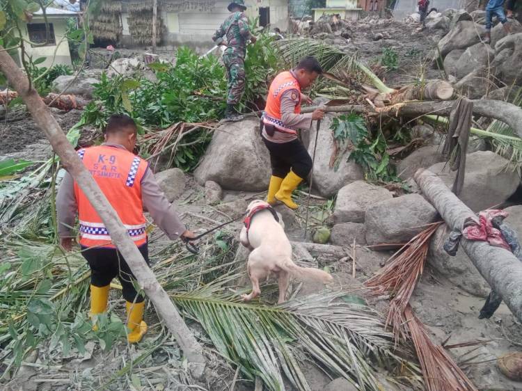 Anjing Pelacak Bantu Pencarian Mayat Korban Baktiraja