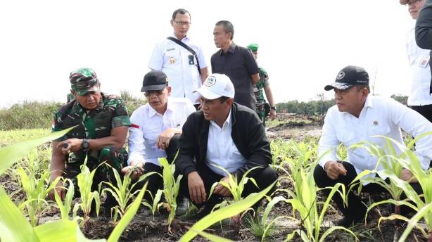 Berkunjung ke Palangka Raya, Wamenhan M. Herindra Tinjau Lokasi Food Estate