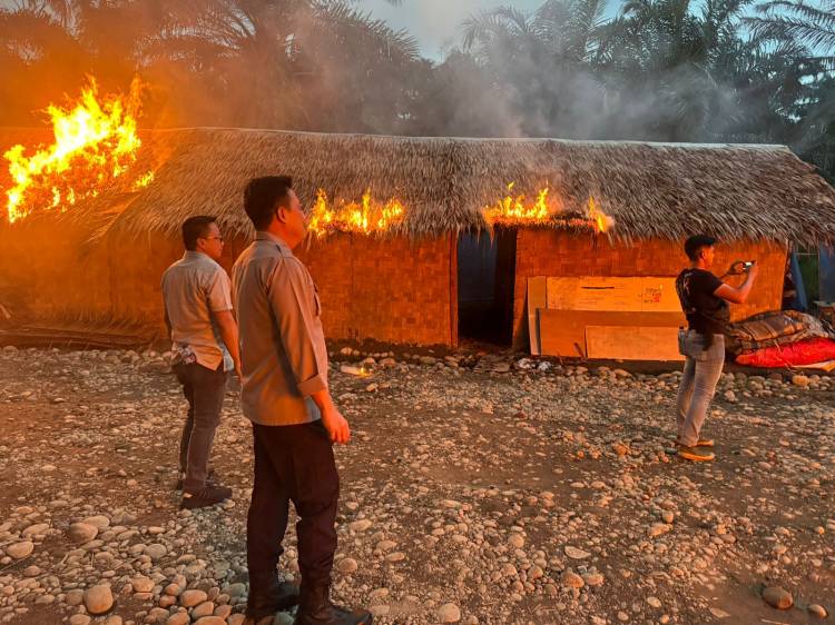 Grebek Sarang Narkoba di Sumut: TNI-POLRI Tangkap Puluhan Pelaku dan Musnahkan Barak