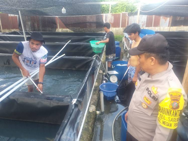 Sambang Ketahanan Pangan, Bhabinkamtibmas Polsek Medan Baru  Kunjungi Warga Budidaya Ikan Lele