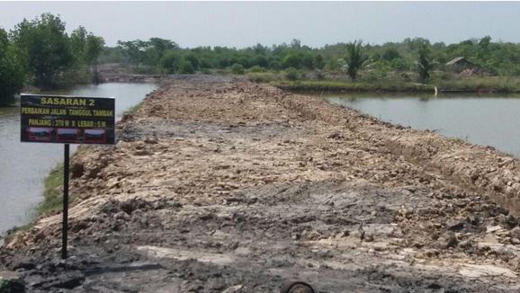 Pembuatan Tanggul 350 meter di Sicanang