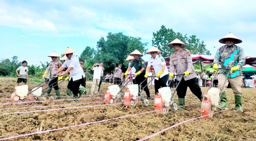 Wakil Bupati Simalungun Komitmen Dukung Program Nasional Swasembada Pangan