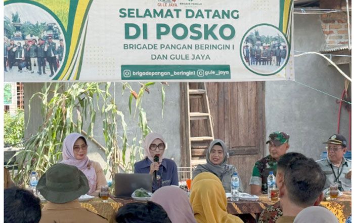 Percepat Swasembada Pangan, Konsolidasi Lahan Jadi Kunci Penguatan Brigade Pangan